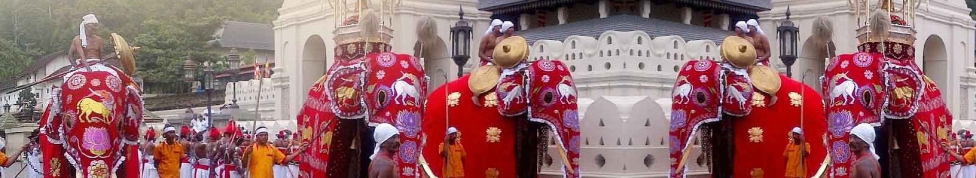 rajasthan culture